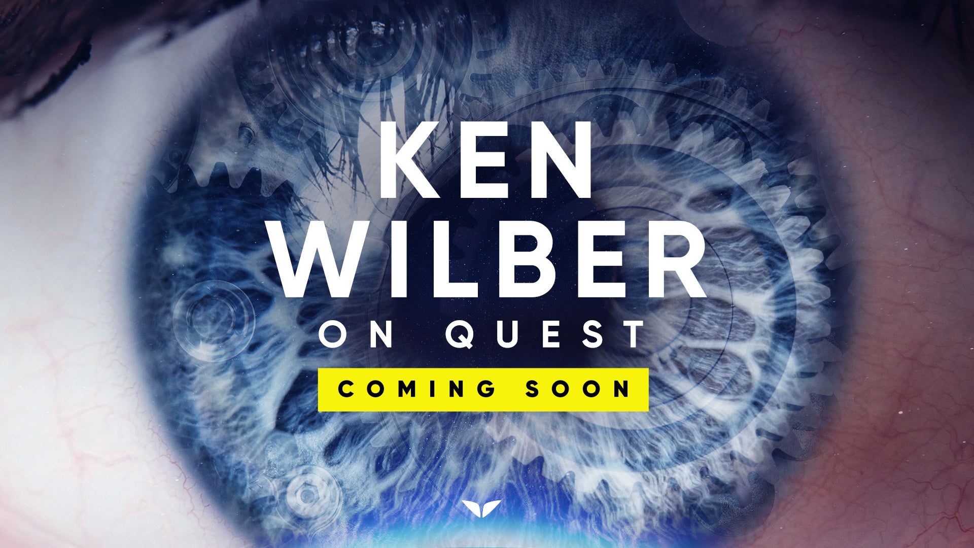 Quest by Ken Wilber